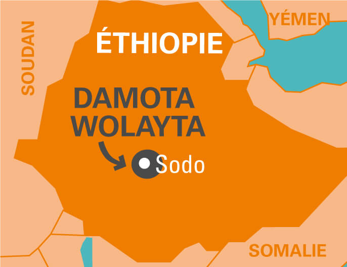 Carte cafÃ© arabica Ethiopie dÃ©cafÃ©inÃ© coopÃ©rative Damota Wolayta